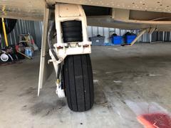 Bottom Right Wing 2.jpg